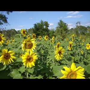 Meet your Posher, Debra